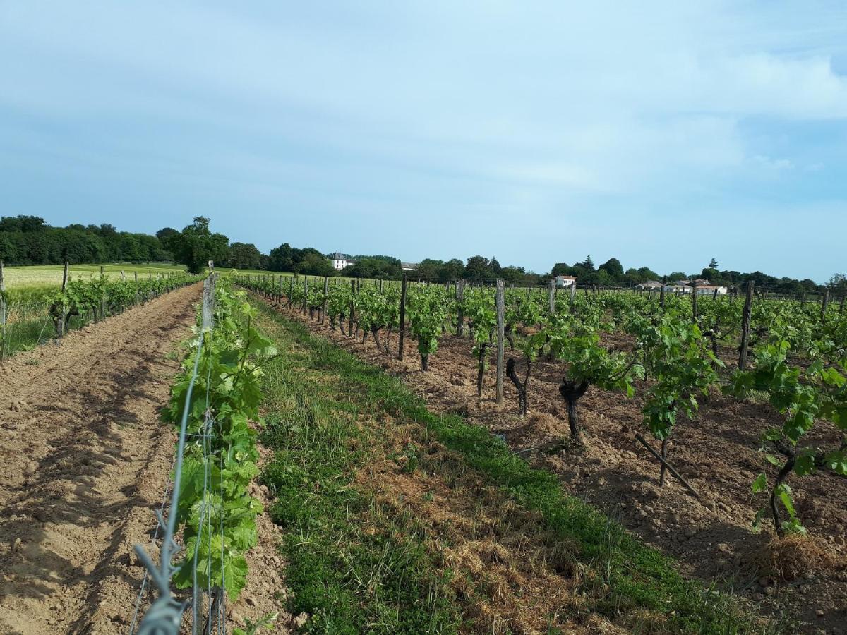 Escapade Entre Vignes Et Mer Corme-Royal Luaran gambar
